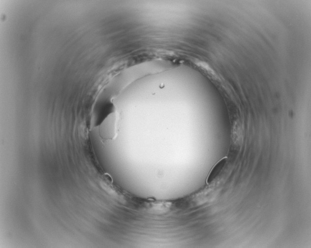 X0000088170474200706051121