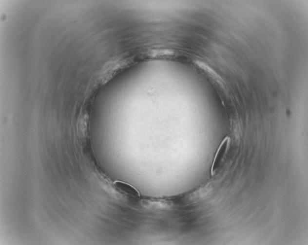 X0000088170475200706051121