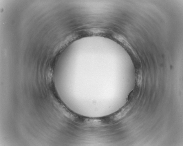 X0000088170476200706051121