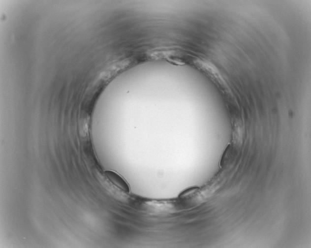 X0000088170477200706051121