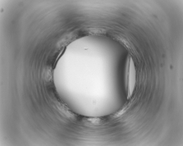 X0000088170478200706051121