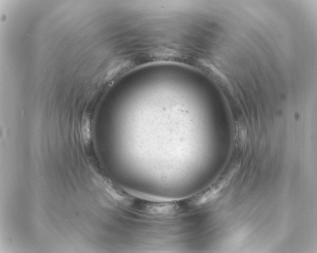 X0000088170479200706051121