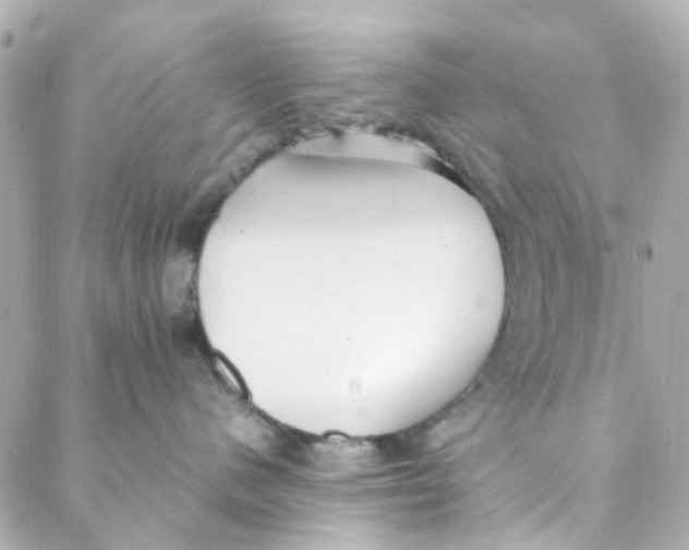 X0000088170480200706051121