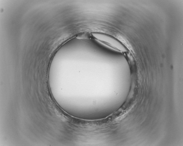 X0000088170481200706051120