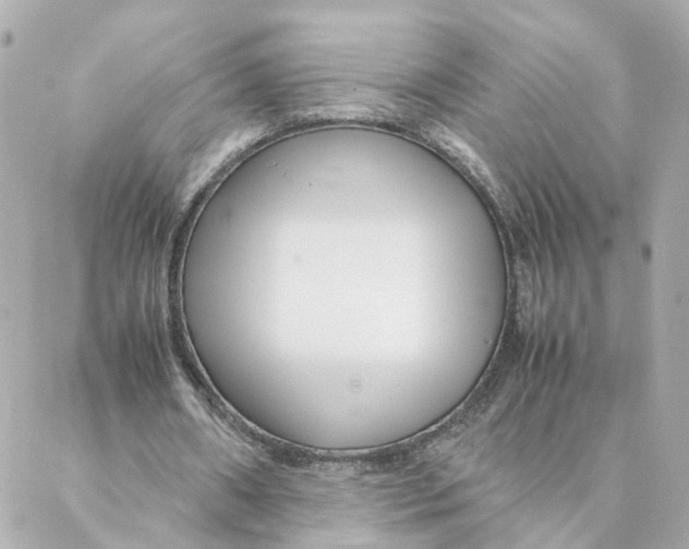 X0000088170482200706051120