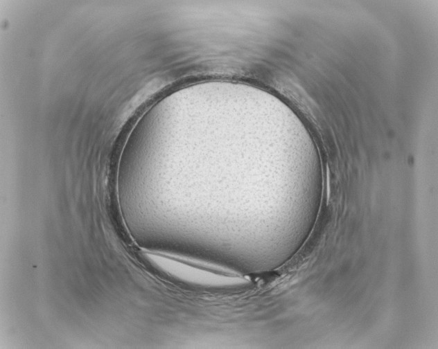 X0000088170483200706051120