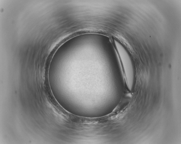 X0000088170484200706051120