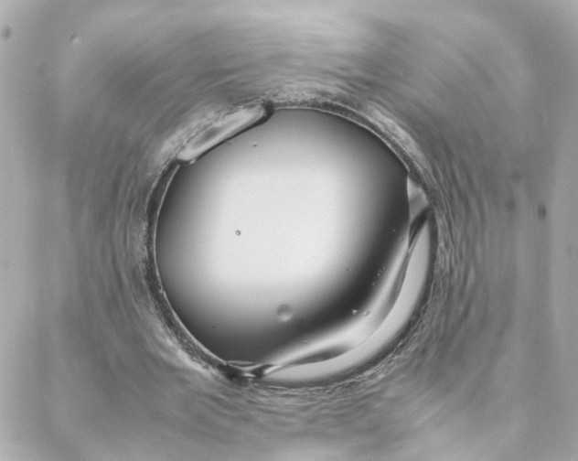 X0000088170485200706051120