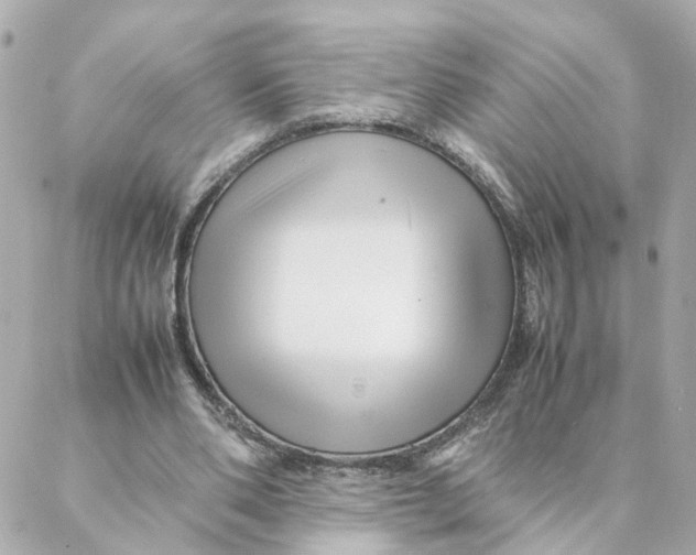 X0000088170486200706051120