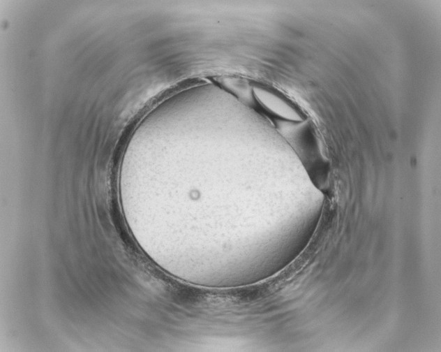 X0000088170487200706051120