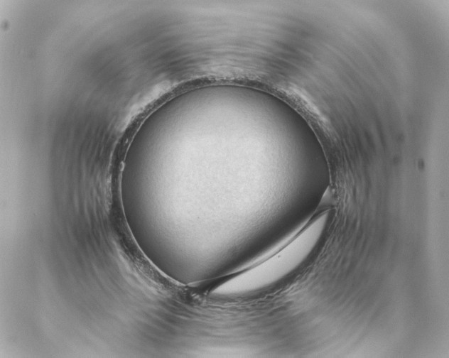 X0000088170488200706051120