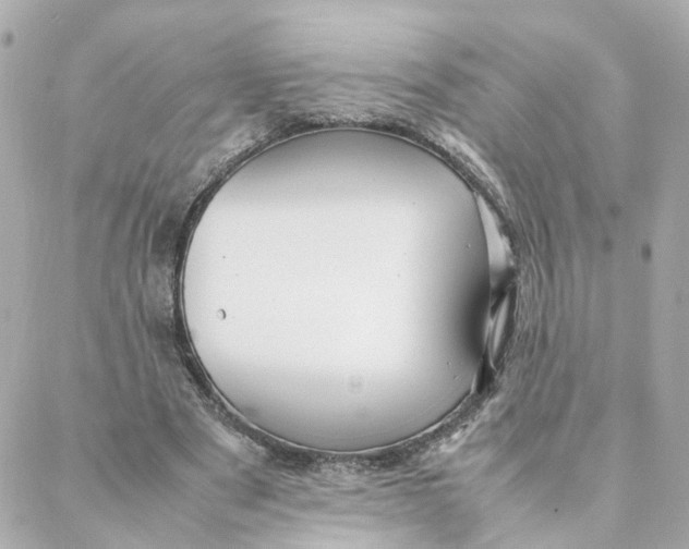 X0000088170489200706051120