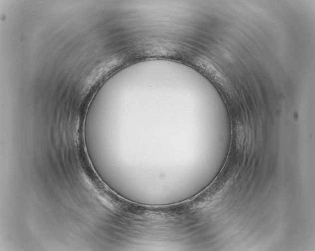 X0000088170490200706051120