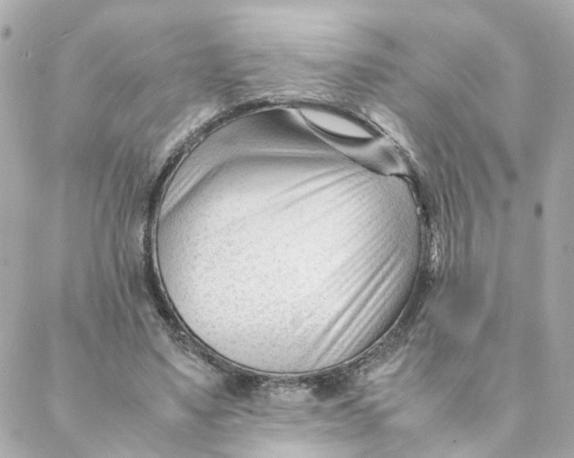 X0000088170491200706051120