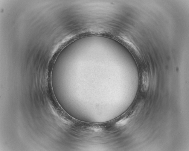 X0000088170492200706051120