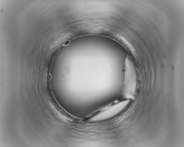 X0000088170493200706051120