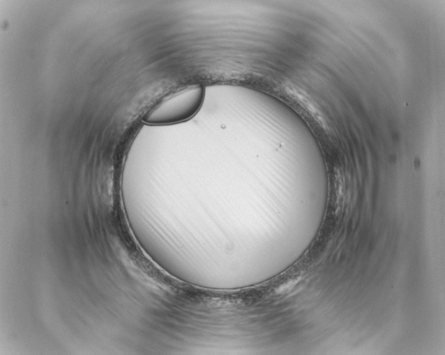 X0000088170494200706051120