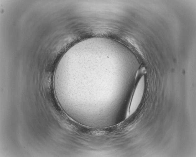 X0000088170495200706051120