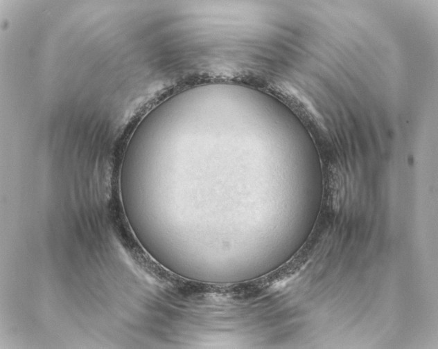 X0000088170496200706051120