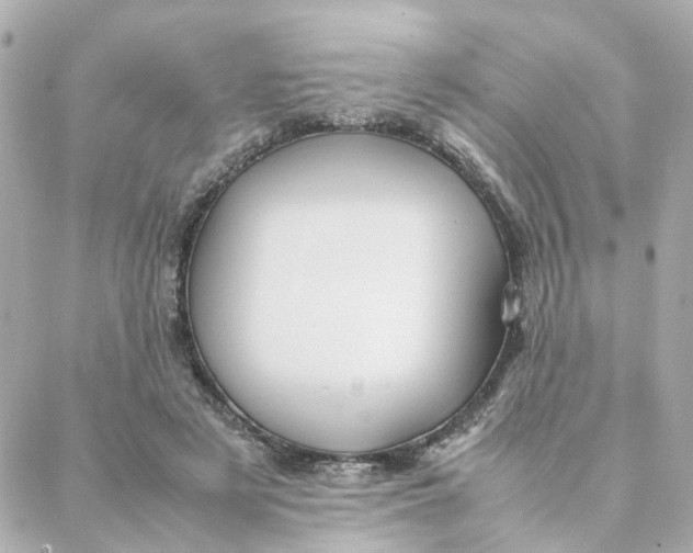 X0000088170497200706051120