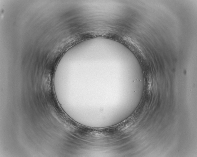 X0000088170498200706051120