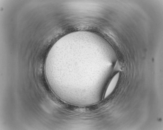 X0000088170499200706051120