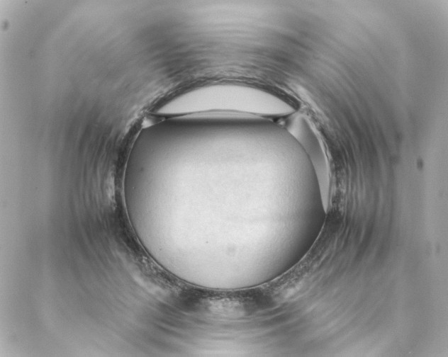 X0000088170500200706051120