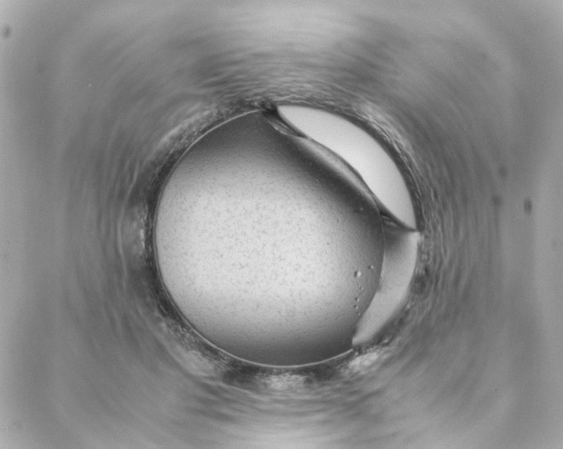 X0000088170501200706051120