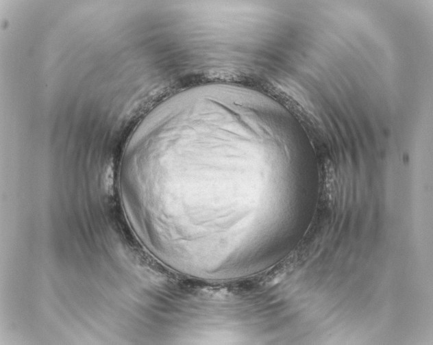 X0000088170502200706051120