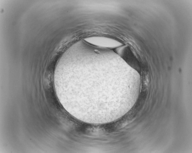 X0000088170503200706051120