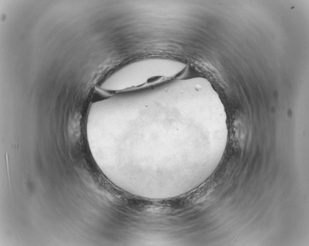 X0000088170504200706051120