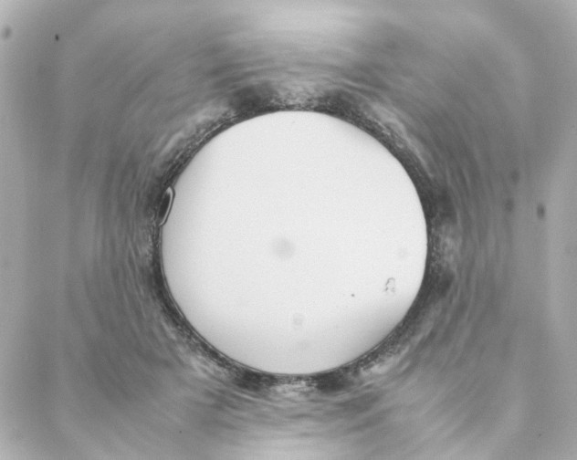 X0000088170505200706051120