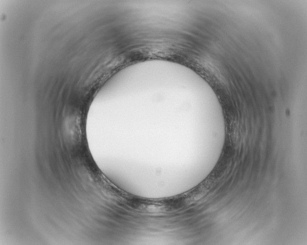 X0000088170506200706051120