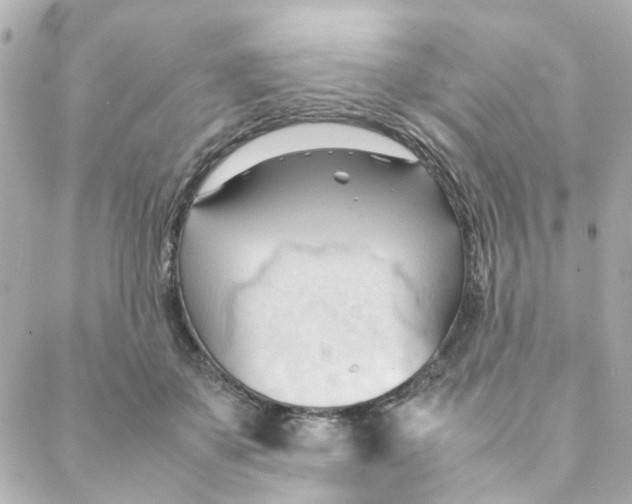 X0000088170507200706051120