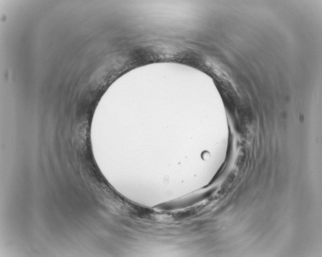 X0000088170509200706051120