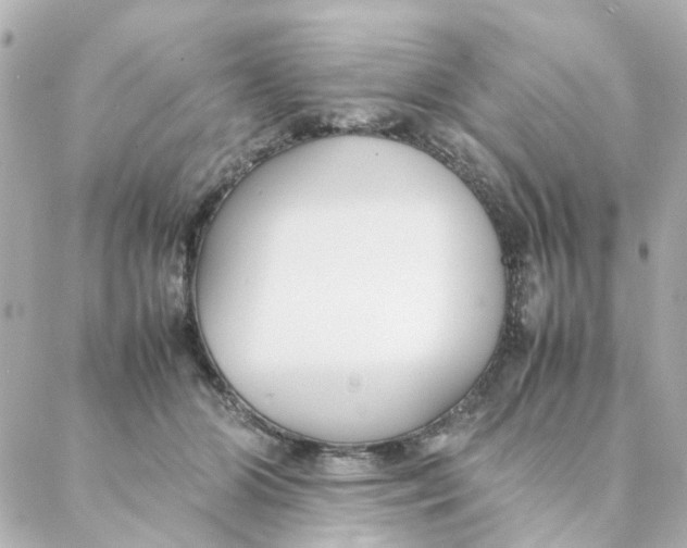 X0000088170510200706051120