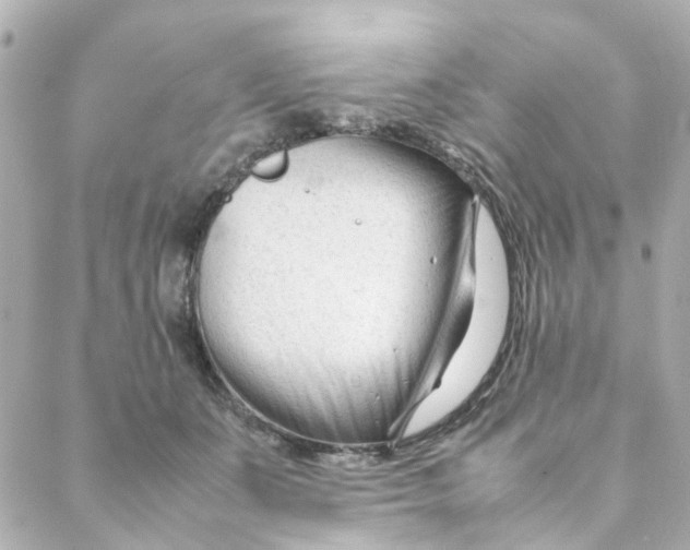 X0000088170511200706051120