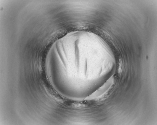 X0000088170512200706051120