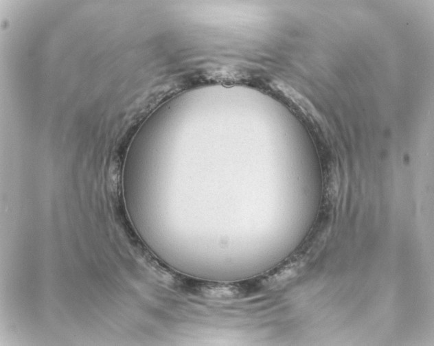 X0000088170513200706051120