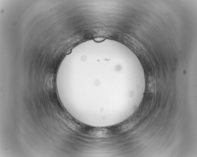 X0000088170514200706051120