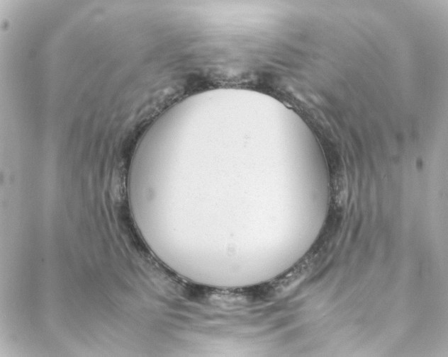 X0000088170515200706051120