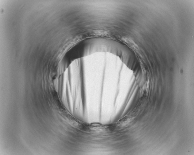 X0000088170516200706051120