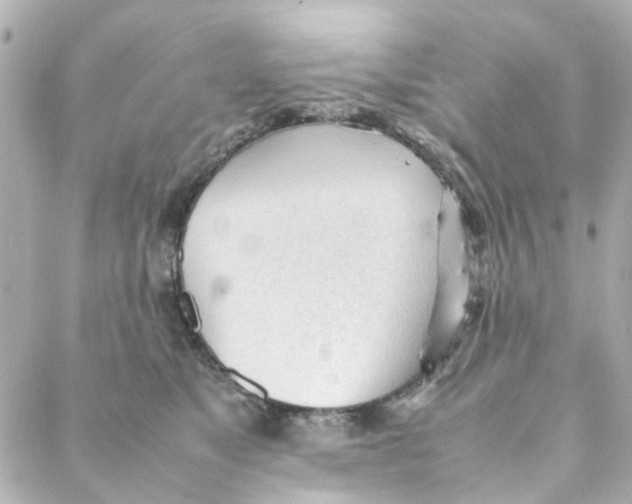 X0000088170517200706051120