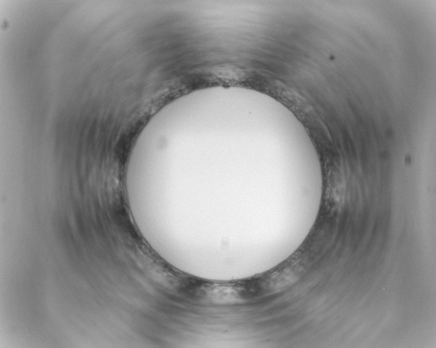 X0000088170518200706051120