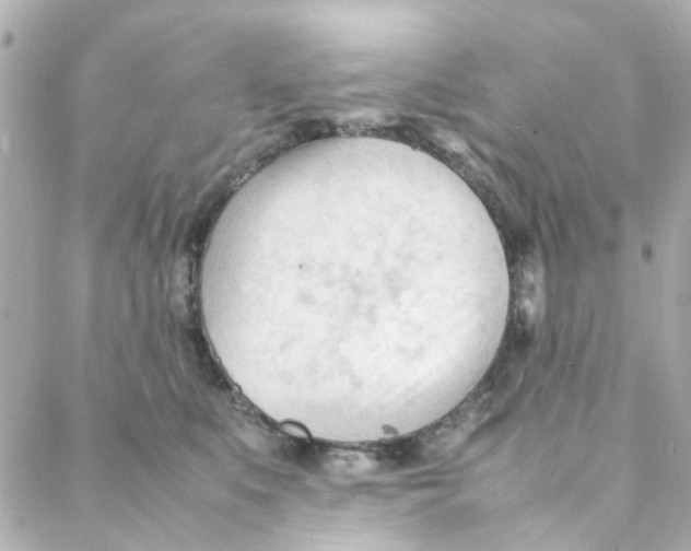 X0000088170519200706051120