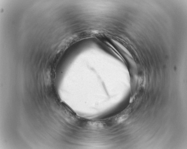 X0000088170520200706051120