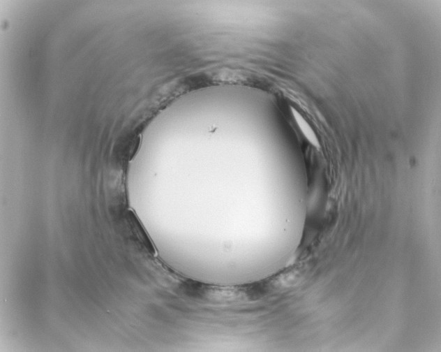 X0000088170521200706051120