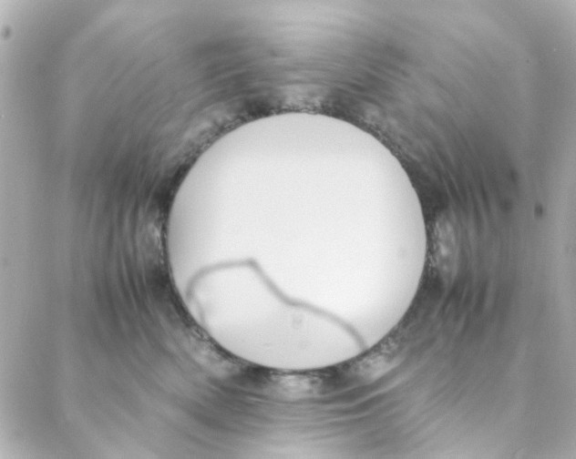 X0000088170522200706051120