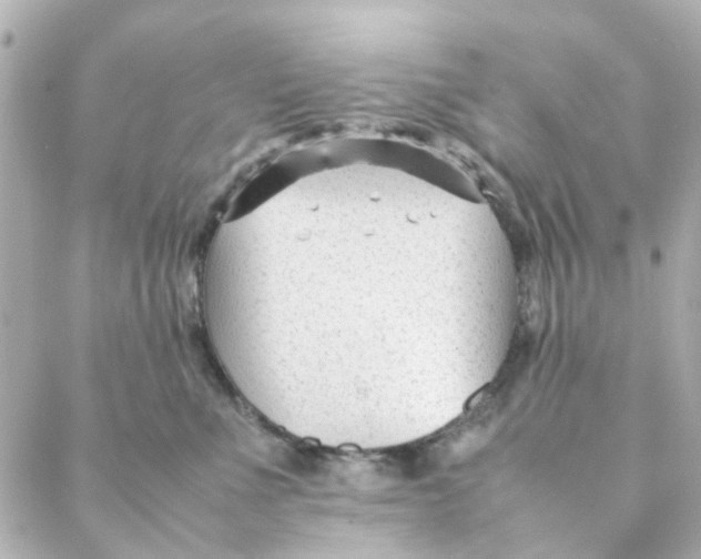 X0000088170523200706051120