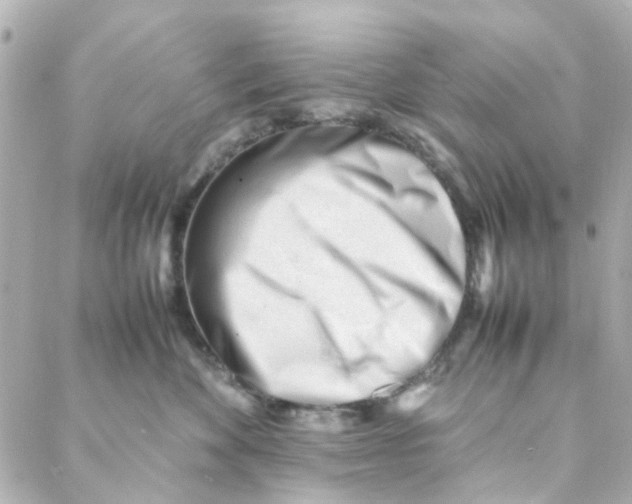 X0000088170524200706051120